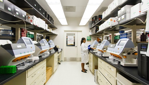 Healthcare - HLB Thailand Industries Page